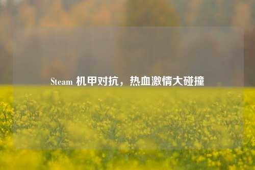 Steam 机甲对抗，热血激情大碰撞