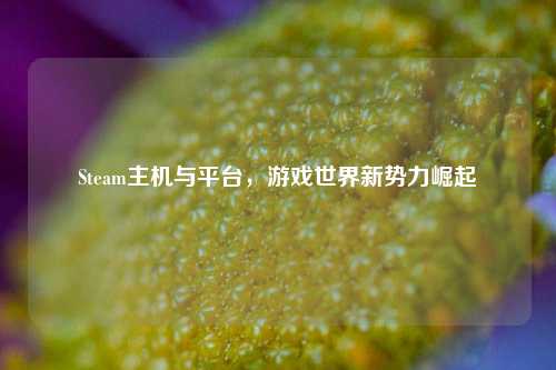 Steam主机与平台，游戏世界新势力崛起