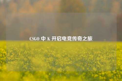 CSGO 中 K 开启电竞传奇之旅