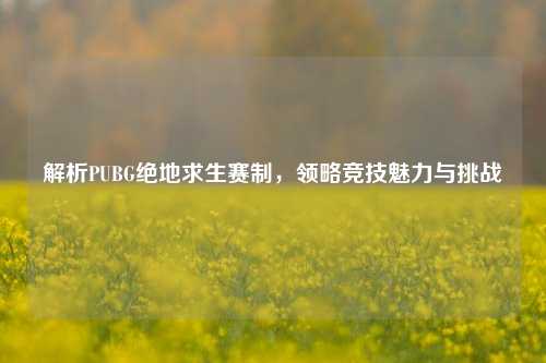 解析PUBG绝地求生赛制，领略竞技魅力与挑战