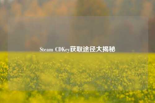 Steam CDKey获取途径大揭秘