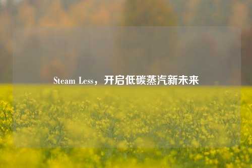 Steam Less，开启低碳蒸汽新未来