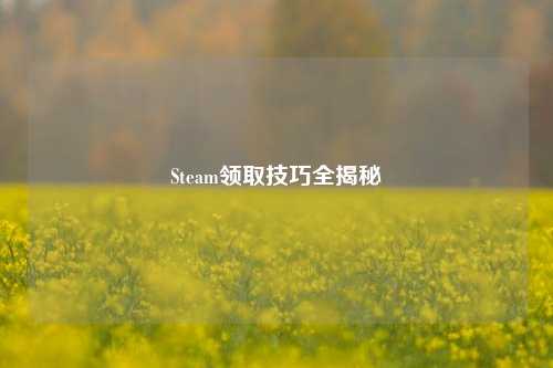 Steam领取技巧全揭秘