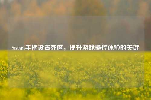 Steam手柄设置死区，提升游戏操控体验的关键