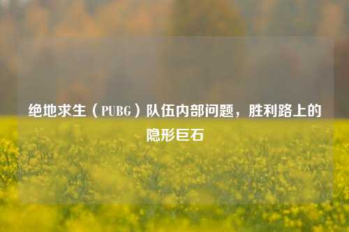 绝地求生（PUBG）队伍内部问题，胜利路上的隐形巨石
