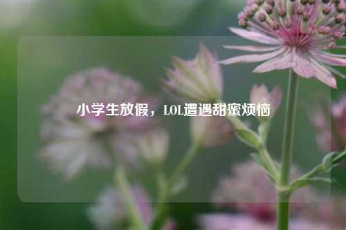 小学生放假，LOL遭遇甜蜜烦恼