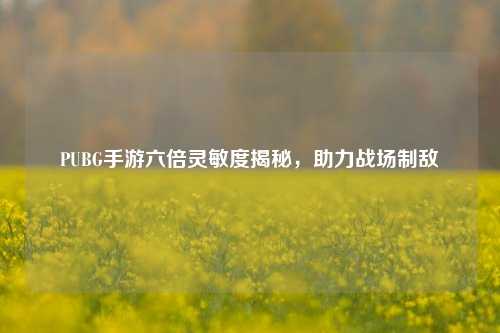 PUBG手游六倍灵敏度揭秘，助力战场制敌