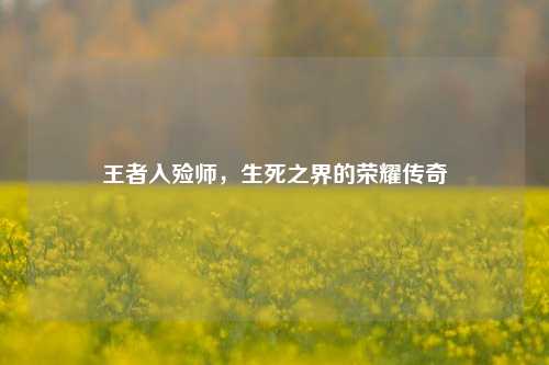 王者入殓师，生死之界的荣耀传奇