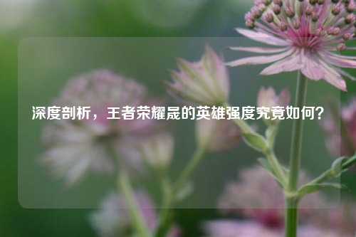 深度剖析，王者荣耀晟的英雄强度究竟如何？