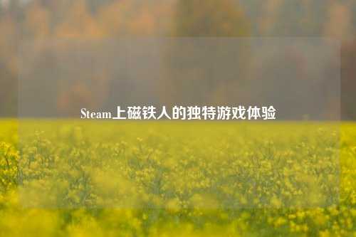 Steam上磁铁人的独特游戏体验