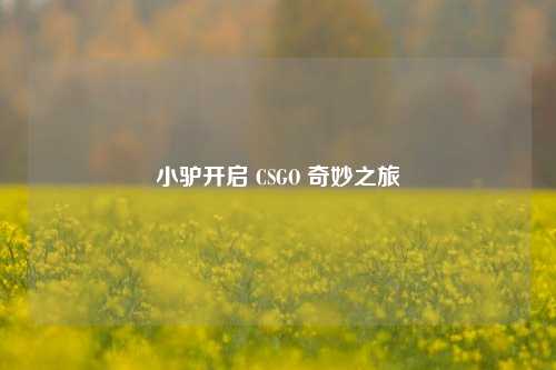小驴开启 CSGO 奇妙之旅