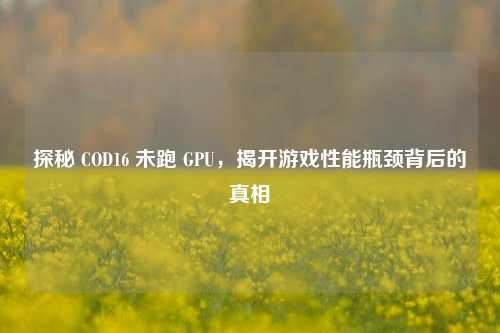 探秘 COD16 未跑 GPU，揭开游戏性能瓶颈背后的真相