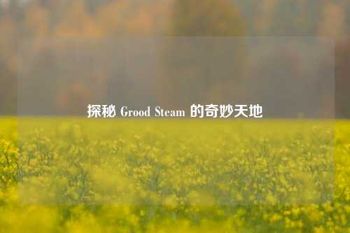 探秘 Grood Steam 的奇妙天地