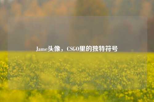 Jame头像，CSGO里的独特符号