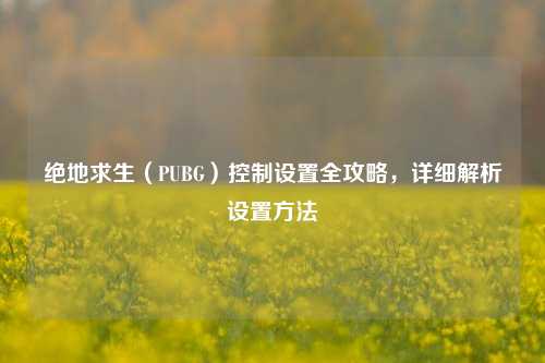 绝地求生（PUBG）控制设置全攻略，详细解析设置方法