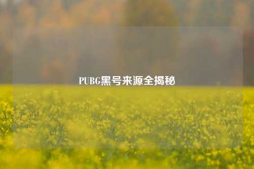 PUBG黑号来源全揭秘