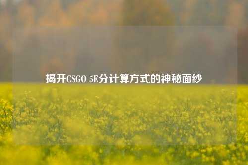 揭开CSGO 5E分计算方式的神秘面纱