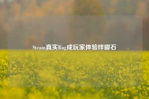 Steam真实Bug成玩家体验绊脚石