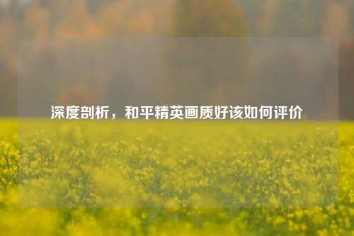 深度剖析，和平精英画质好该如何评价