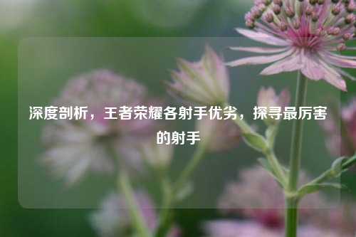 深度剖析，王者荣耀各射手优劣，探寻最厉害的射手