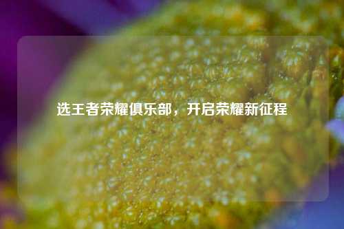 选王者荣耀俱乐部，开启荣耀新征程