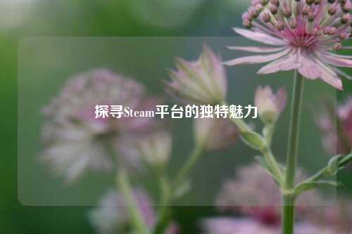 探寻Steam平台的独特魅力