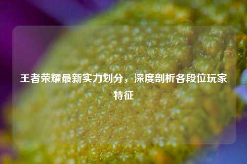 王者荣耀最新实力划分，深度剖析各段位玩家特征