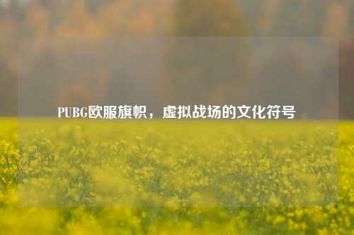 PUBG欧服旗帜，虚拟战场的文化符号