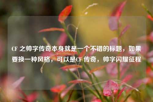 CF 之帅字传奇本身就是一个不错的标题，如果要换一种风格，可以是CF 传奇，帅字闪耀征程