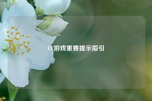 CF游戏重要提示指引