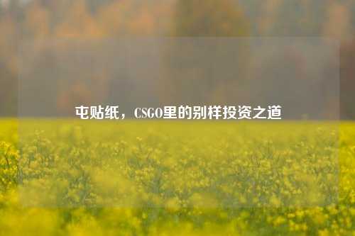 屯贴纸，CSGO里的别样投资之道