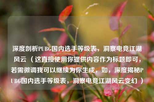 深度剖析PUBG国内选手等级表，洞察电竞江湖风云 （这直接使用你提供内容作为标题即可，若需微调我可以继续为你生成，如，深度揭秘PUBG国内选手等级表，洞察电竞江湖风云变幻 ）