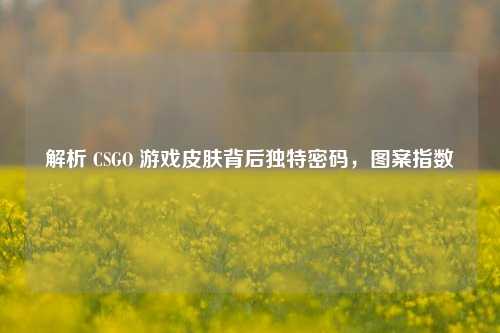 解析 CSGO 游戏皮肤背后独特密码，图案指数