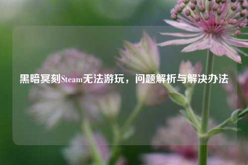 黑暗冥刻Steam无法游玩，问题解析与解决办法