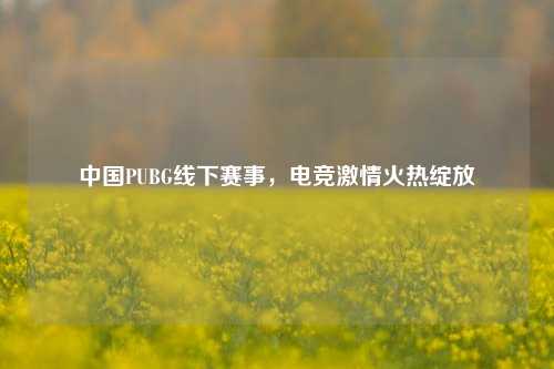 中国PUBG线下赛事，电竞激情火热绽放