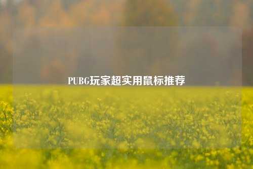 PUBG玩家超实用鼠标推荐