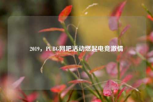 2019,PUBG网吧活动燃起电竞激情