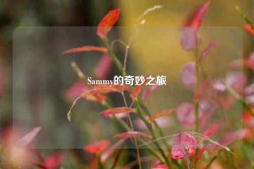 Sammy的奇妙之旅
