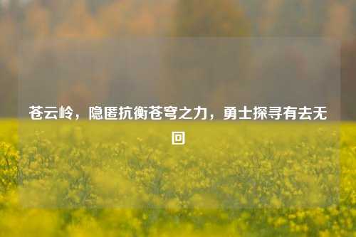 苍云岭，隐匿抗衡苍穹之力，勇士探寻有去无回