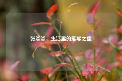张焱焱，生活里的璀璨之星