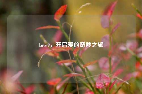 Love9，开启爱的奇妙之旅