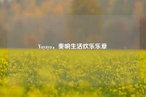 Yayaya,奏响生活欢乐乐章