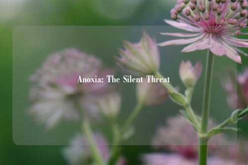 Anoxia: The Silent Threat