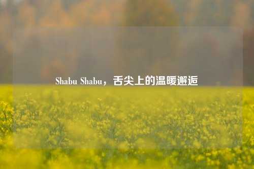 Shabu Shabu,舌尖上的温暖邂逅