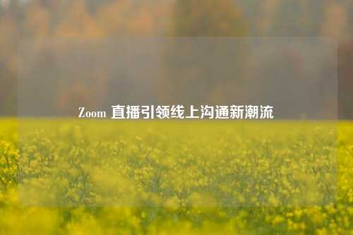 Zoom 直播引领线上沟通新潮流
