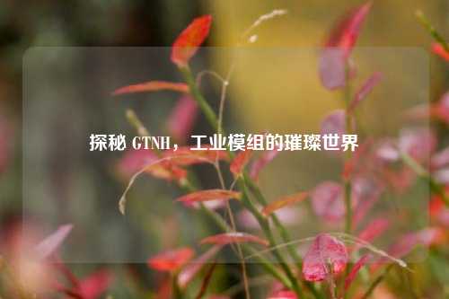 探秘 GTNH，工业模组的璀璨世界