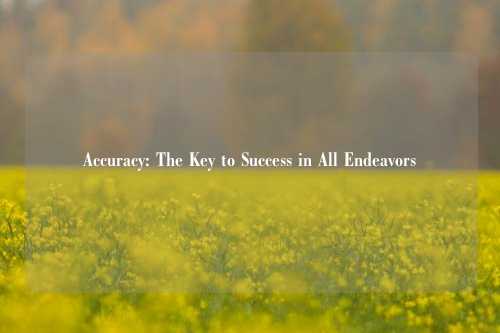 Accuracy: The Key to Success in All Endeavors