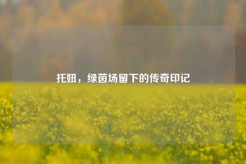 托妞，绿茵场留下的传奇印记