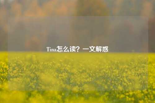 Tina怎么读？一文解惑