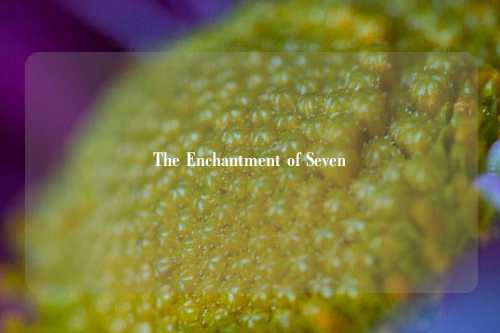 The Enchantment of Seven